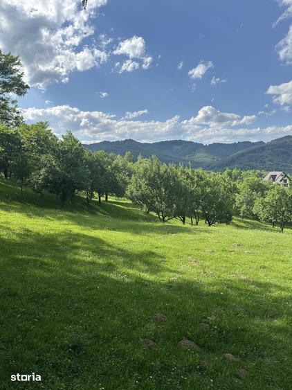 Teren de 10000 mp, în Șotrile