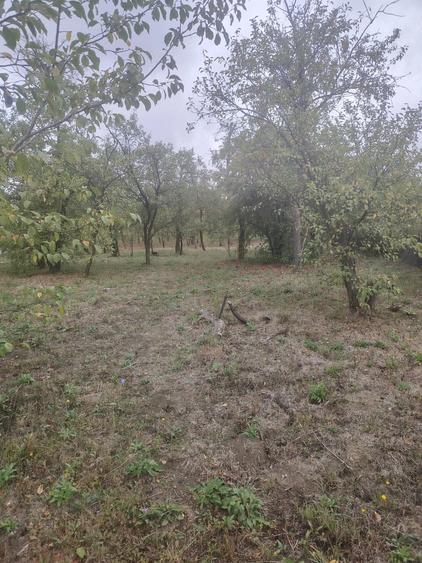 Casă cu 5 camere cu Teren 2800 Mp în Iris