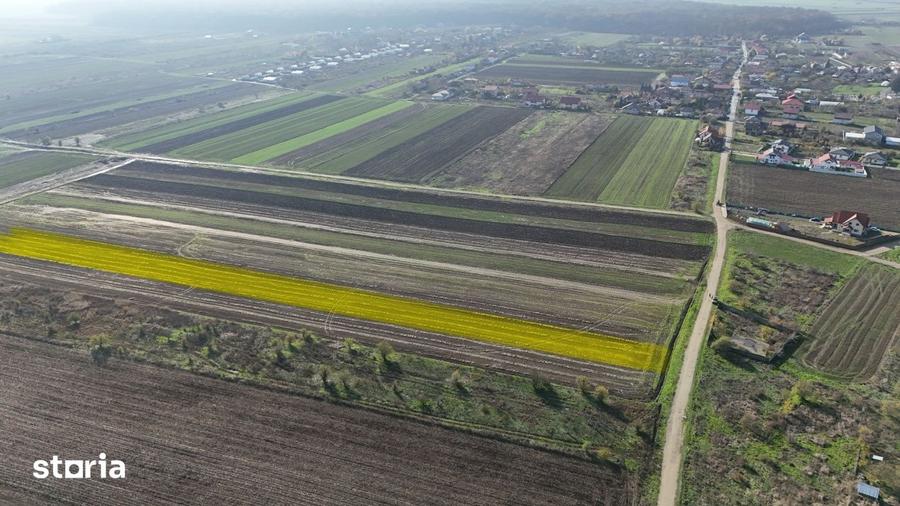 Teren de 10000 mp, în Tărtășești