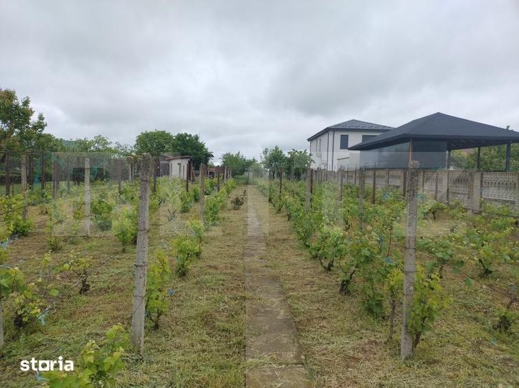 Teren de 1236 mp, în Cârcea