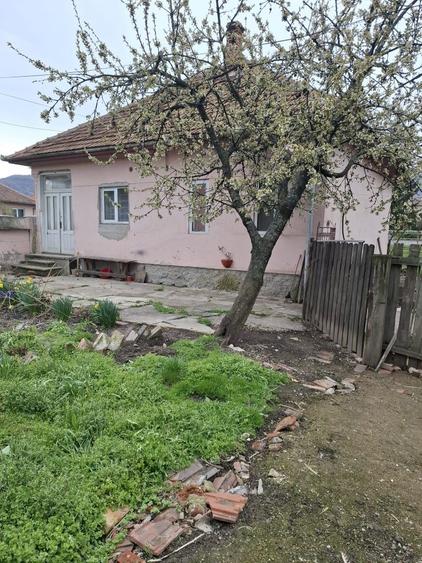 Casă cu 2 camere în Petros