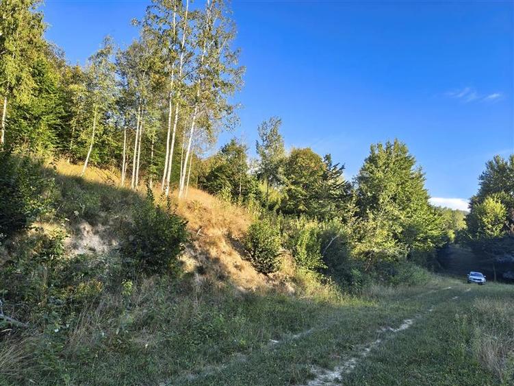 Teren agricol intravilan de 1000 mp, în Cisnădioara