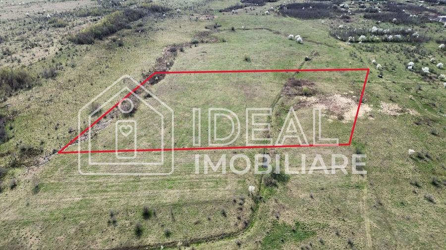 Teren agricol extravilan de 25500 mp, în Sud-Est