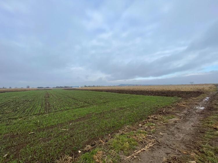 Teren agricol extravilan de 1300 mp, în Marginea