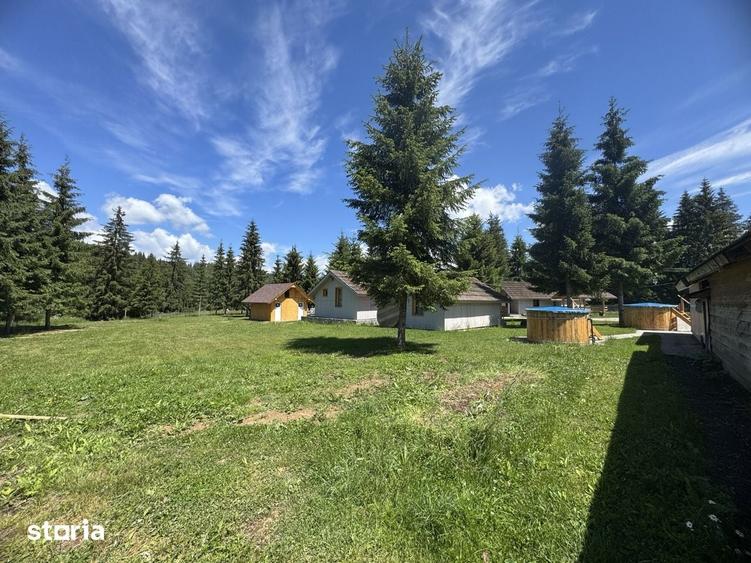 Teren de 9550 mp, în Dorna Candrenilor