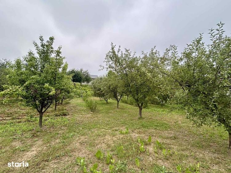 Casă cu 3 camere în Chicerea