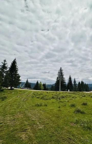 Teren Construcții extravilan de 1342 mp, în Beliș
