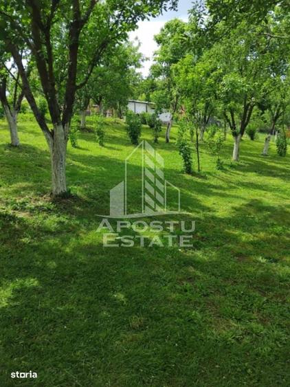 Casă cu 2 camere cu Teren 3515 Mp în Central