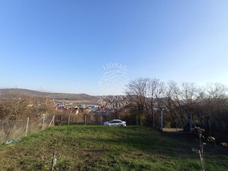 Teren Construcții intravilan de 2700 mp, în Viișoara