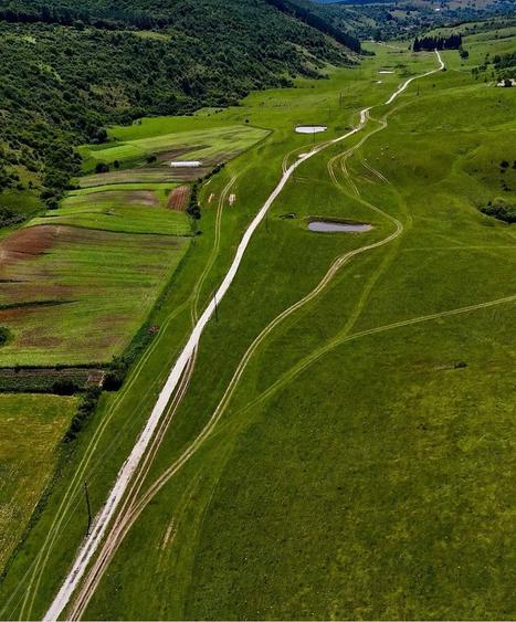 Teren de 6000 mp, în Câmp