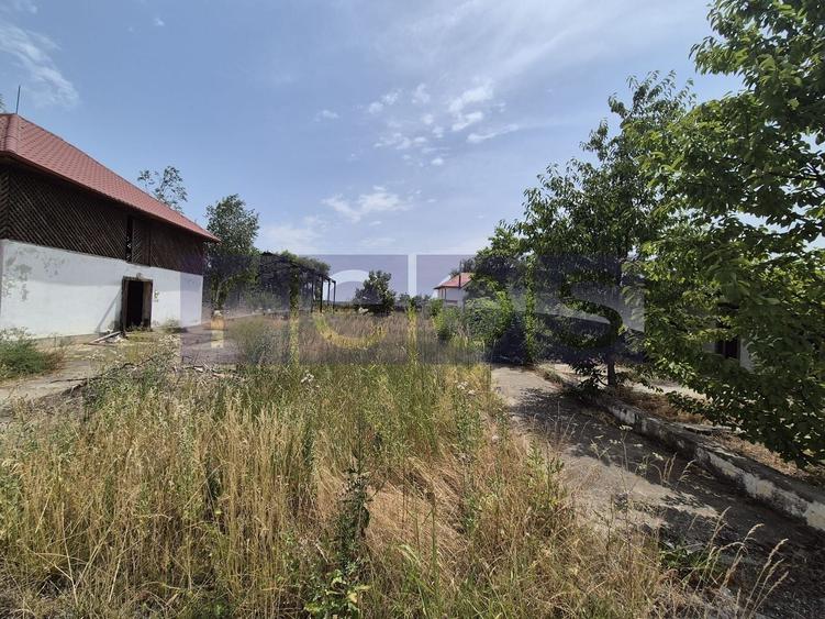 Teren Construcții intravilan de 35510 mp, în Belciugatele