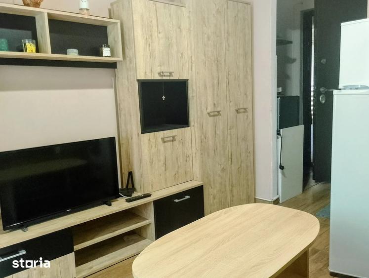 Garsonieră în Buziașului