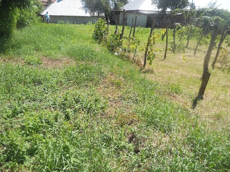 Casa la 25 km de Piatra Neamt spre Bacau - 3