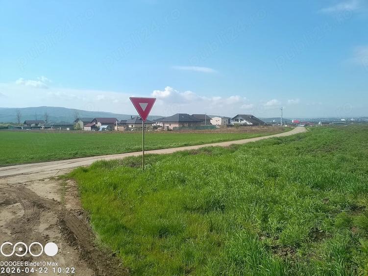 Teren de 5000 mp, în Dancu
