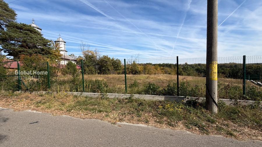 Teren Construcții intravilan de 3000 mp, în Băbana
