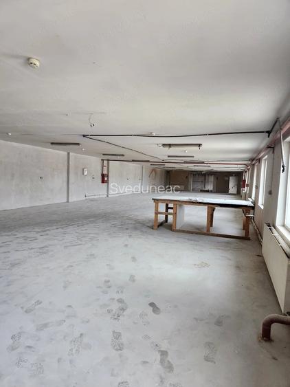 Spatiu de inchiriat pe strada Cernauti, nr. 99, 380 mp, 3 euro mp