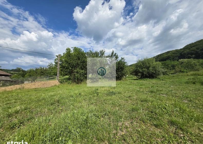 Teren agricol extravilan de 2340 mp, în Șoimuș