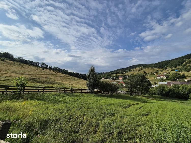 Teren de 700 mp, în Gârcina