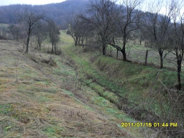 Teren de 1924 mp, în Moneasa