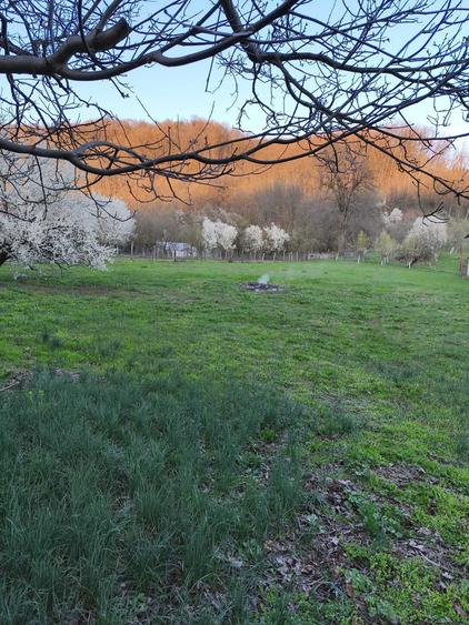 Teren de 3350 mp, în Sâmbotin