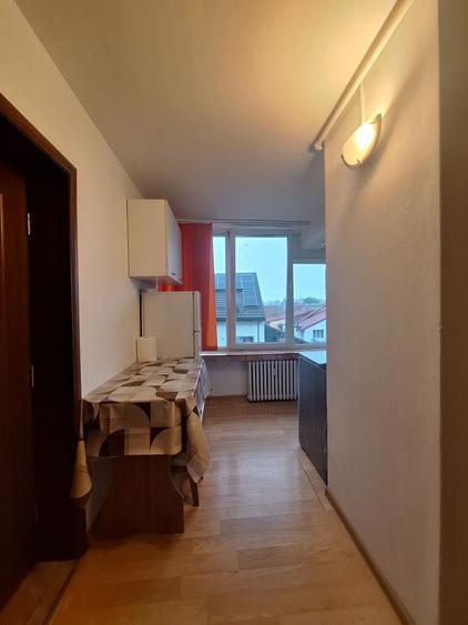 Dau spre inchiriere garsoniera in Brasov - 11