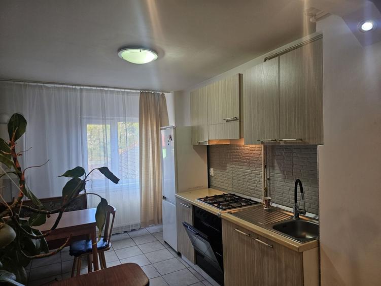 Apartament cu 2 camere decomandat în Petroșani