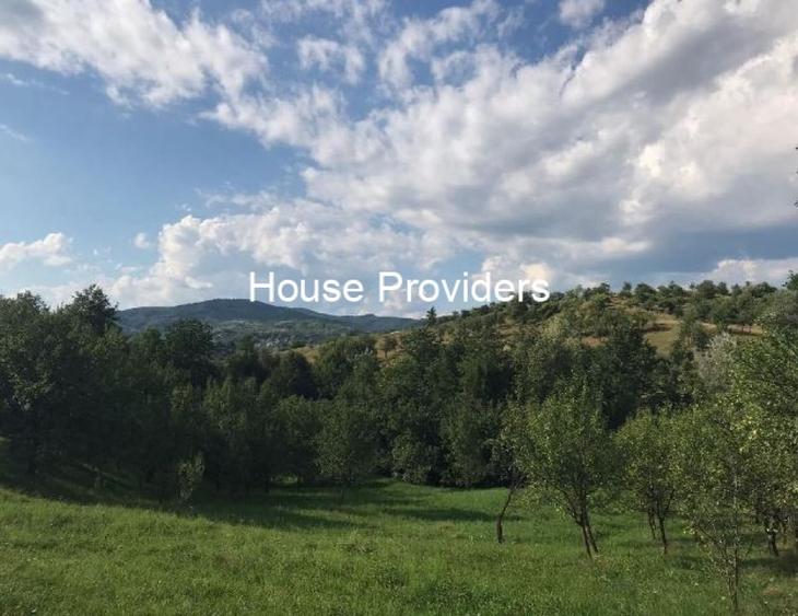 Teren intravilan de 6400 mp, în Drajna