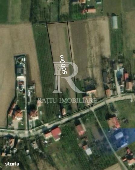Teren de 5000 mp, în Nojorid