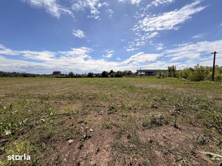 Teren de 5000 mp, în Lunca Oltului