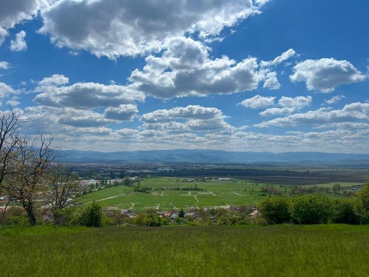 Teren Construcții intravilan de 3610 mp, în Exterior Est