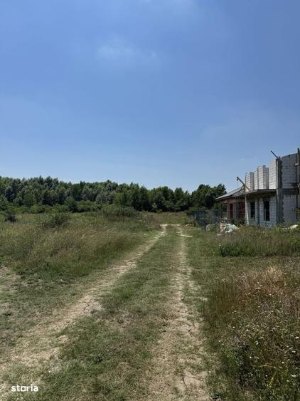 Spațiu comercial, în Domnești