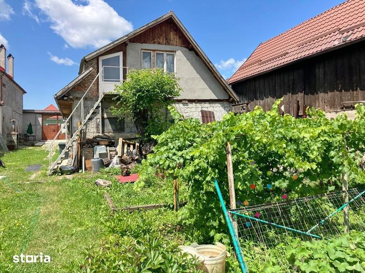 Casă cu 4 camere cu Teren 1690 Mp în Turcheș