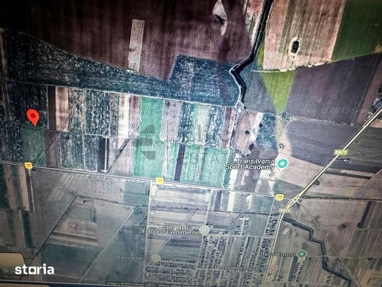 Teren 20.141 mp de vanzare in zona Aeroportului Oradea - 5