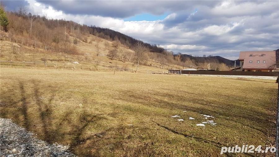 Teren de 2000 mp, în Central