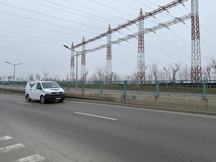 Teren Construcții extravilan de 5000 mp, în Nicolae Grigorescu