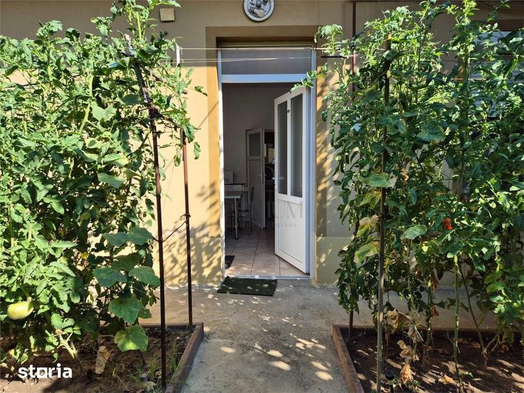 Apartament 1 camera-Centrala-La casa-Iosefin - 6