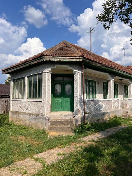 Teren agricol intravilan de 1264 mp, în Borșani