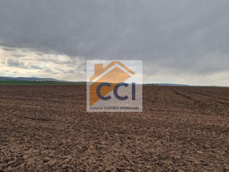 Teren agricol intravilan de 10000 mp, în Vest