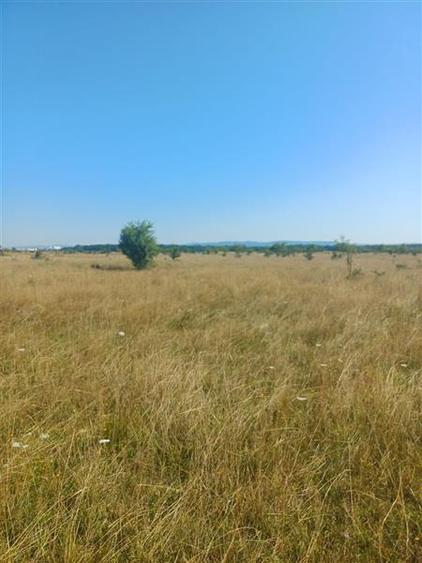 Teren agricol intravilan de 600 mp, în Periferie