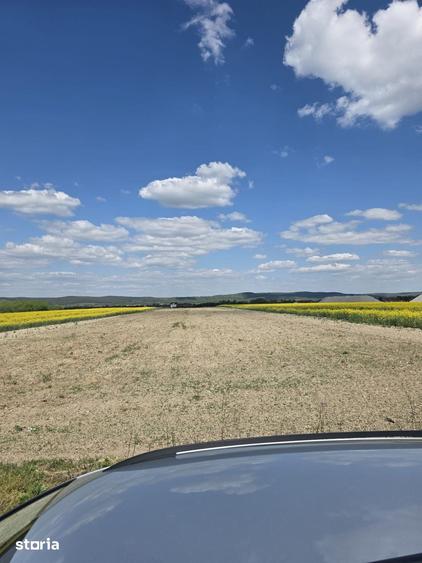 Teren de 7000 mp, în Oșorhei