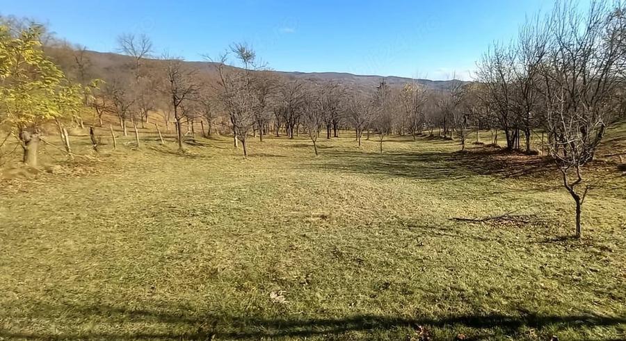 Teren de 3239 mp, în Șotrile