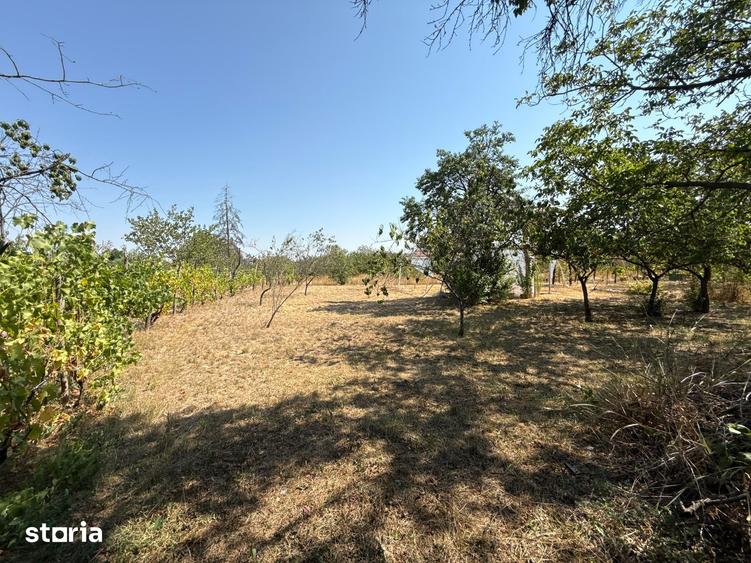 Teren de 1.381 mp cu casa in cartierul Episcopia Bihor - 7