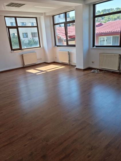 Spațiu comercial, de 150 mp, în Alexandru cel Bun