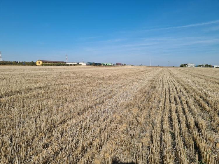 Teren de 66400 mp, în Biharia