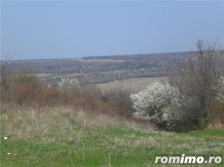 Teren de 40000 mp, în Spineni