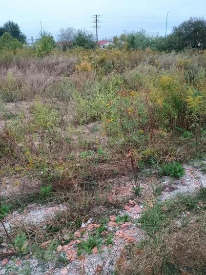 Teren construcție, în Uzina 2