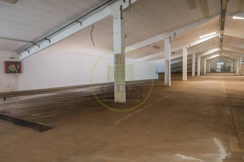 Spațiu industrial, de 4,100 mp, în Florești