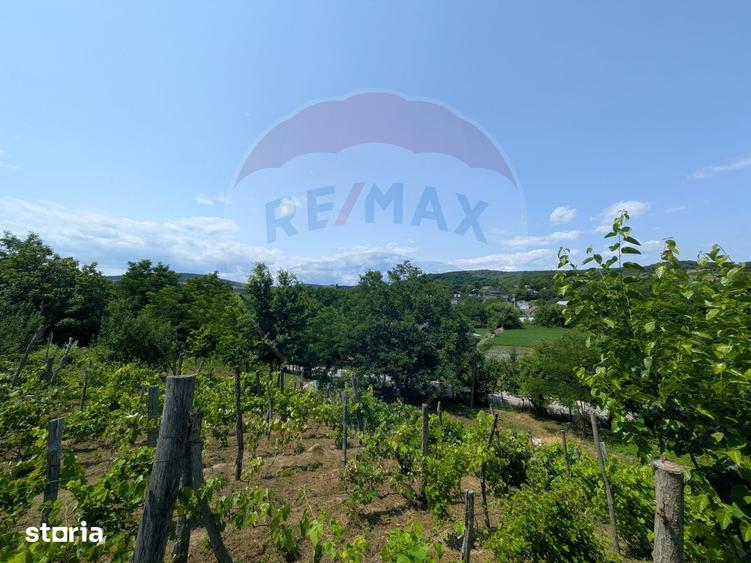 Teren de 2800 mp, în Măgura