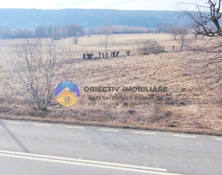 Teren intravilan de 3035 mp, în Bodești