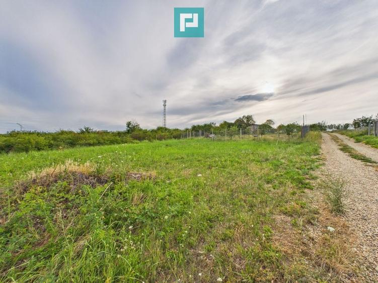 Teren Construcții intravilan de 500 mp, în Săldăbagiu de Munte